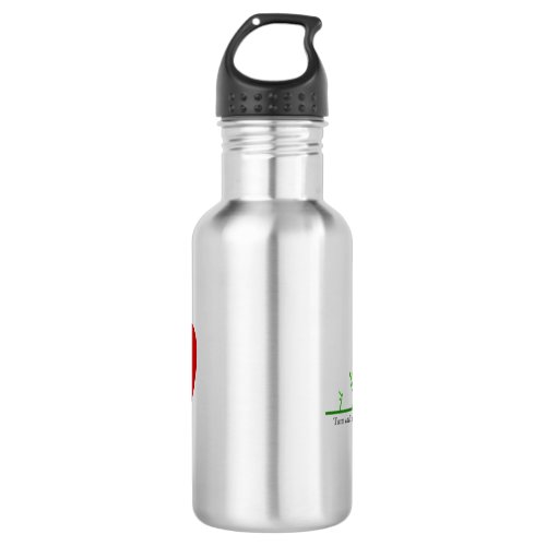 Turn cant into curious  stainless steel water bottle