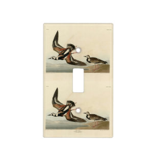 Turn-stone (Ruddy Turnstone) - Audubon's Birds Light Switch Cover