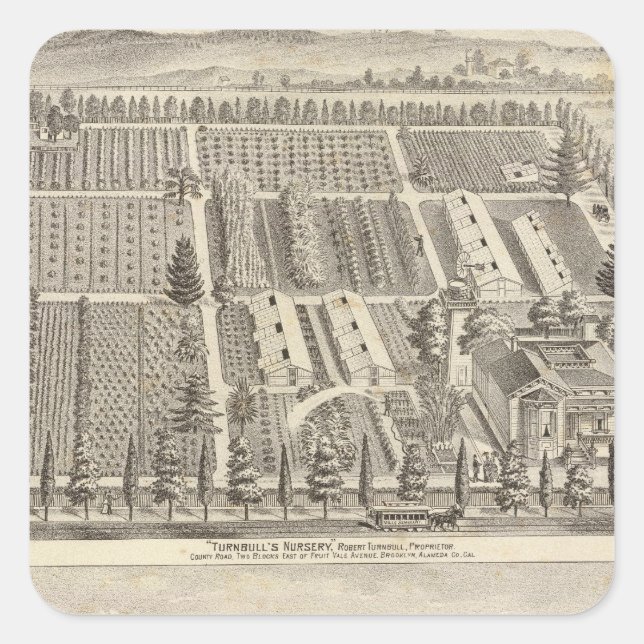 Turnbull's Nursery, Fitch res Square Sticker (Front)