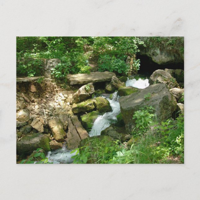 Turner Springs Postcard (Front)