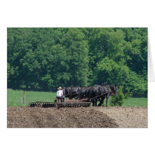 Turning a Six-Horse Team (Front Horizontal)