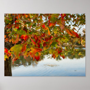 Turning Leaves Autumn Poster