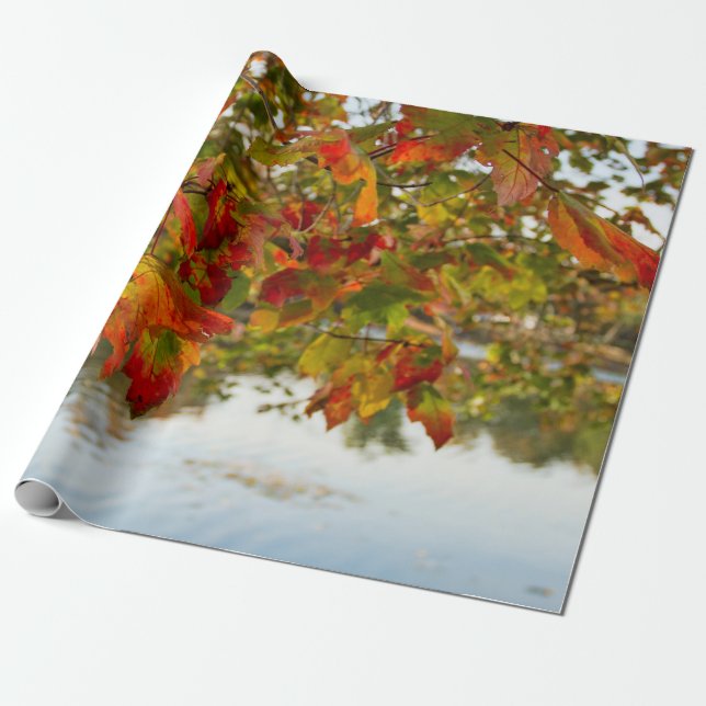 Turning Leaves Wrapping Paper (Unrolled)
