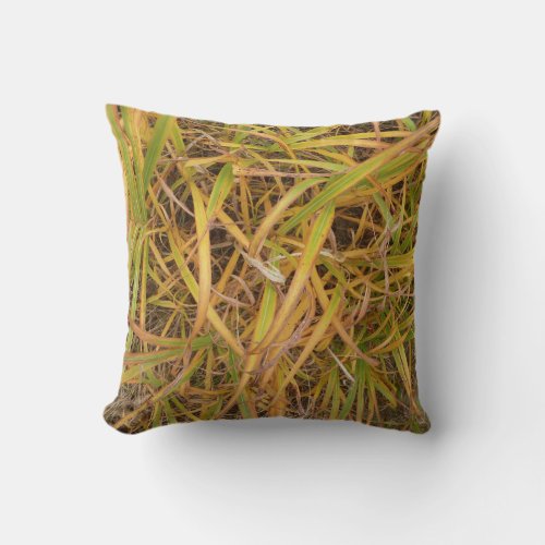 Turning Point Grasses Throw Pillow