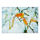 Turning the Page (Front Horizontal)