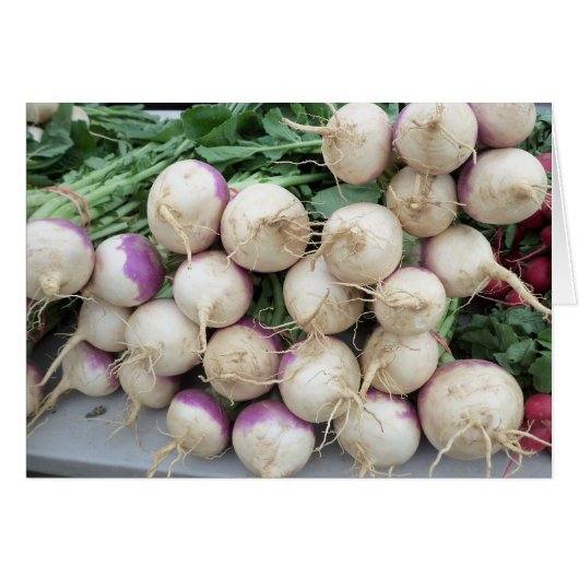 Turnip Pile (Front Horizontal)