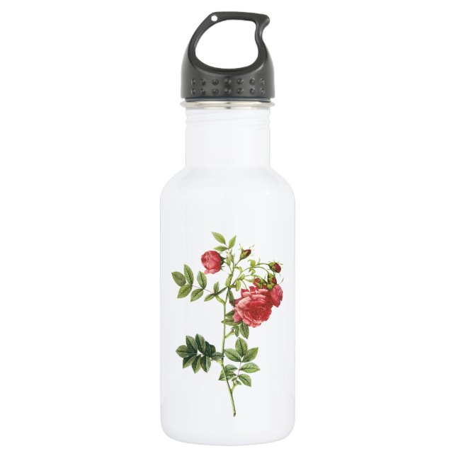 turnip rose(Rosa rapa) by Redouté Stainless Steel Water Bottle (Front)