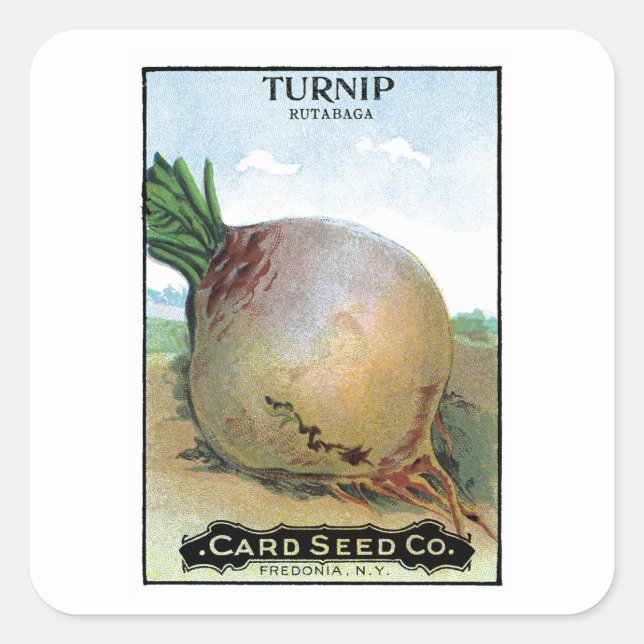 Turnip Seed Packet Label (Front)