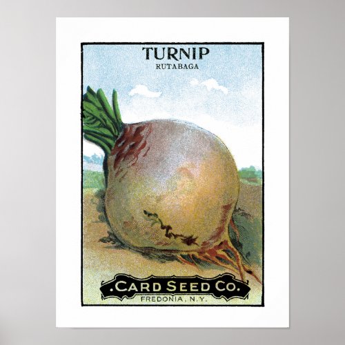 Turnip Seed Packet Label Poster