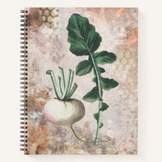 Turnip Vegetable Gardener's Notebook
