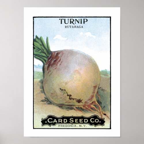 Turnip Vintage Seed Packet Poster