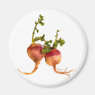Turnip your tastebuds magnet