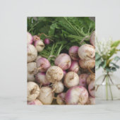 Turnips (Standing Front)