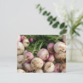 Turnips (Standing Front)