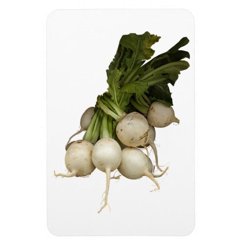 Turnips Photo Magnet