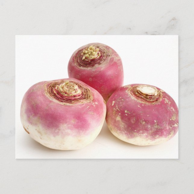 Turnips Postcard (Front)