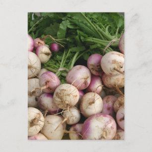 Turnips Postcard