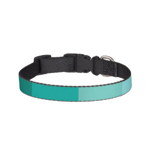 Turquois Green Color Pet Collar