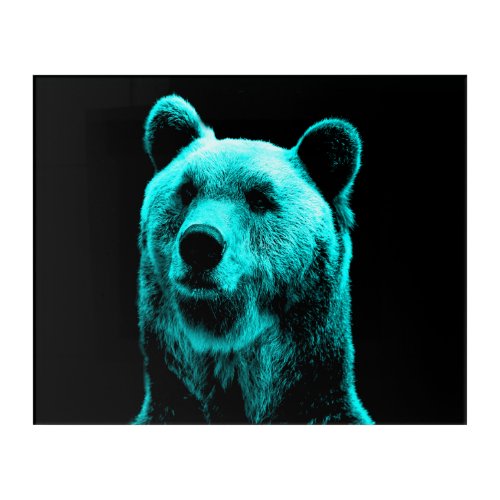 Turquoise and Black Grizzly Bear Portrait Acrylic Print