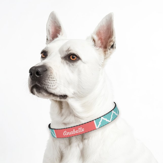 Turquoise and Coral Quatrefoil Monogram Pet Collar (Creator Uploaded)