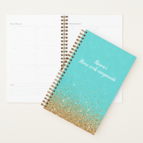Turquoise and Gold Daily Planner