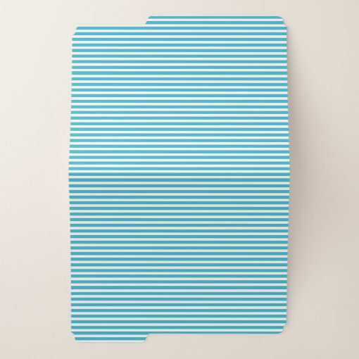 Turquoise and White Striped File Folder Zazzle