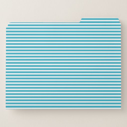 Turquoise and White Striped File Folder Zazzle