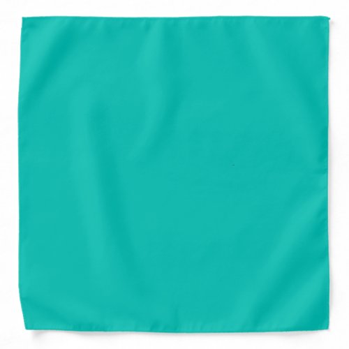 Turquoise Bandana