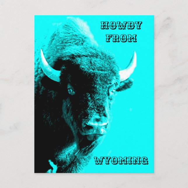 Turquoise Blue Buffalo Bull Bison Howdy From Postcard (Front)