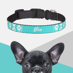 Turquoise Blue Cute Paw print Pattern Personalized Pet Collar