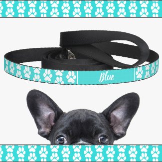 Turquoise Blue Cute Paws Elegant Pattern Name