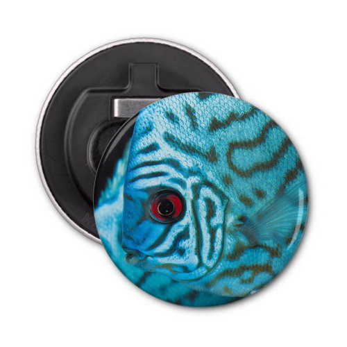 Turquoise Blue Discus Bottle Opener