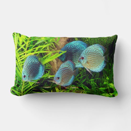 Turquoise Blue Discus Lumbar Pillow