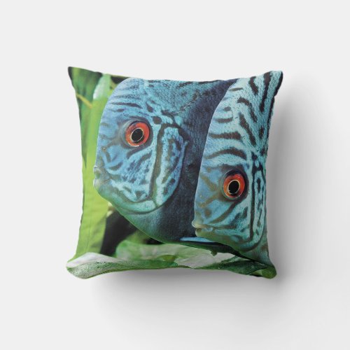 Turquoise Blue Discus Throw Pillow