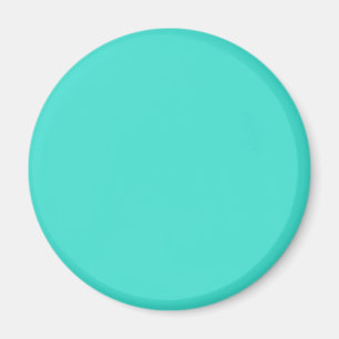 Turquoise Blue Green 40E0D0 - Option to Add Name Magnet