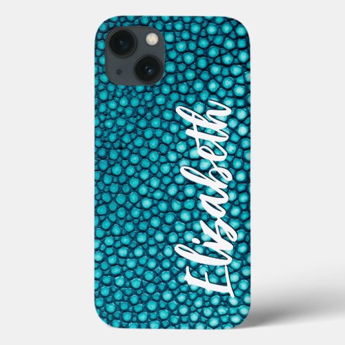 Turquoise iPhone 13 Case