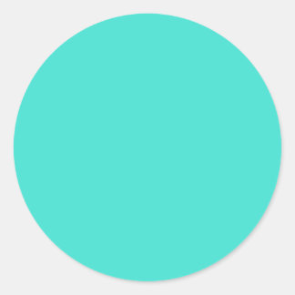 Turquoise Classic Round Sticker