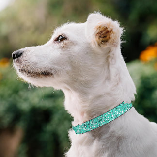 Turquoise Faux Glitter Pattern Look-like Pet Collar