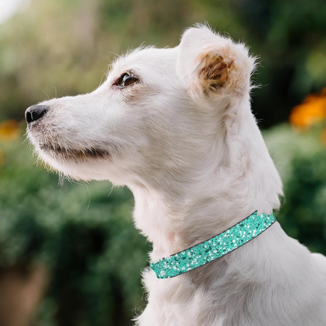 Turquoise Faux Glitter Pattern Look-like Pet Collar (Please note: This image is a digital mockup. The product may not be in scale.)