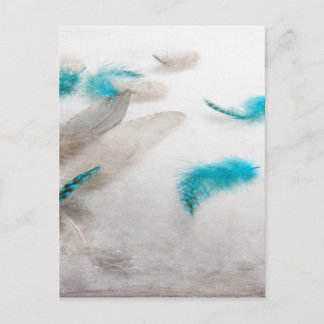 Turquoise Fluff Postcard
