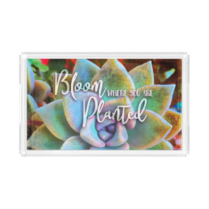 Turquoise Green Cactus Bloom Where Planted Quote Acrylic Tray