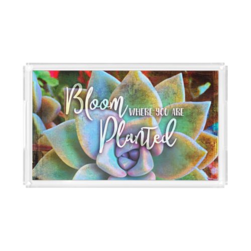 Turquoise Green Cactus Bloom Where Planted Quote Acrylic Tray