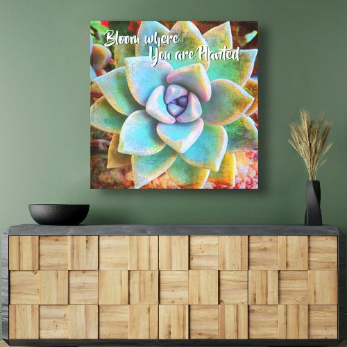 Turquoise Green Cactus Photo Bloom Where Planted Canvas Print