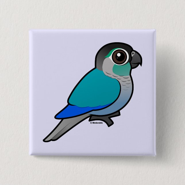 Turquoise Green-cheeked Conure Button (Front)