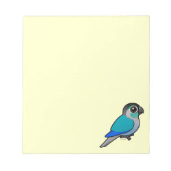Turquoise Green-cheeked Conure 5.5