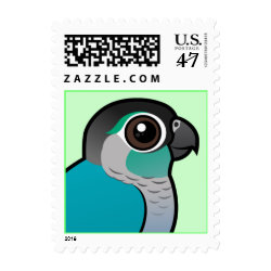 Turquoise Green-cheeked Conure Small Stamp 1.8