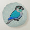 Turquoise Green-cheeked Conure Round Pillow