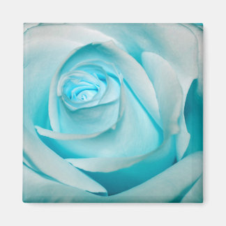 Turquoise Ice Rose Magnet
