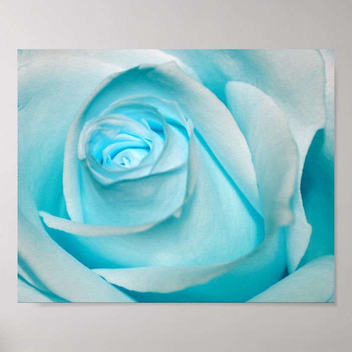 Turquoise Ice Rose Print