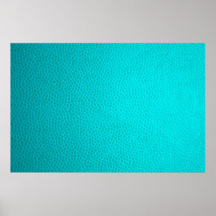 Turquoise leather skin texture skin poster